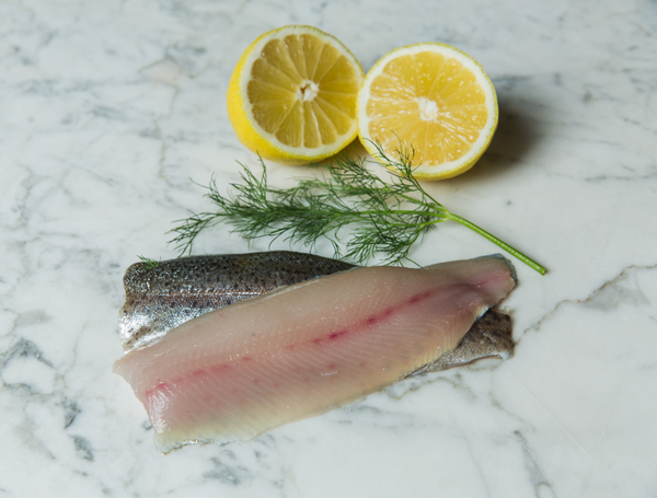 Rainbow-trout-fillets
