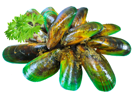 Green Mussels
