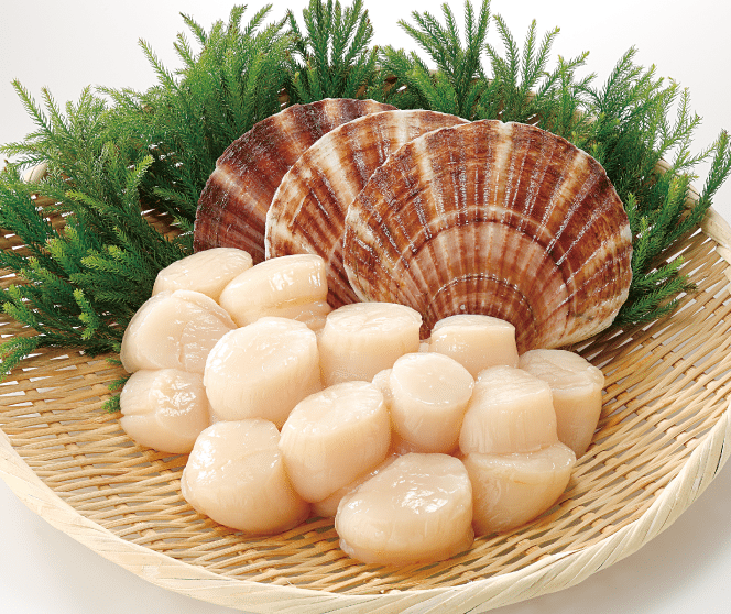 Scallops