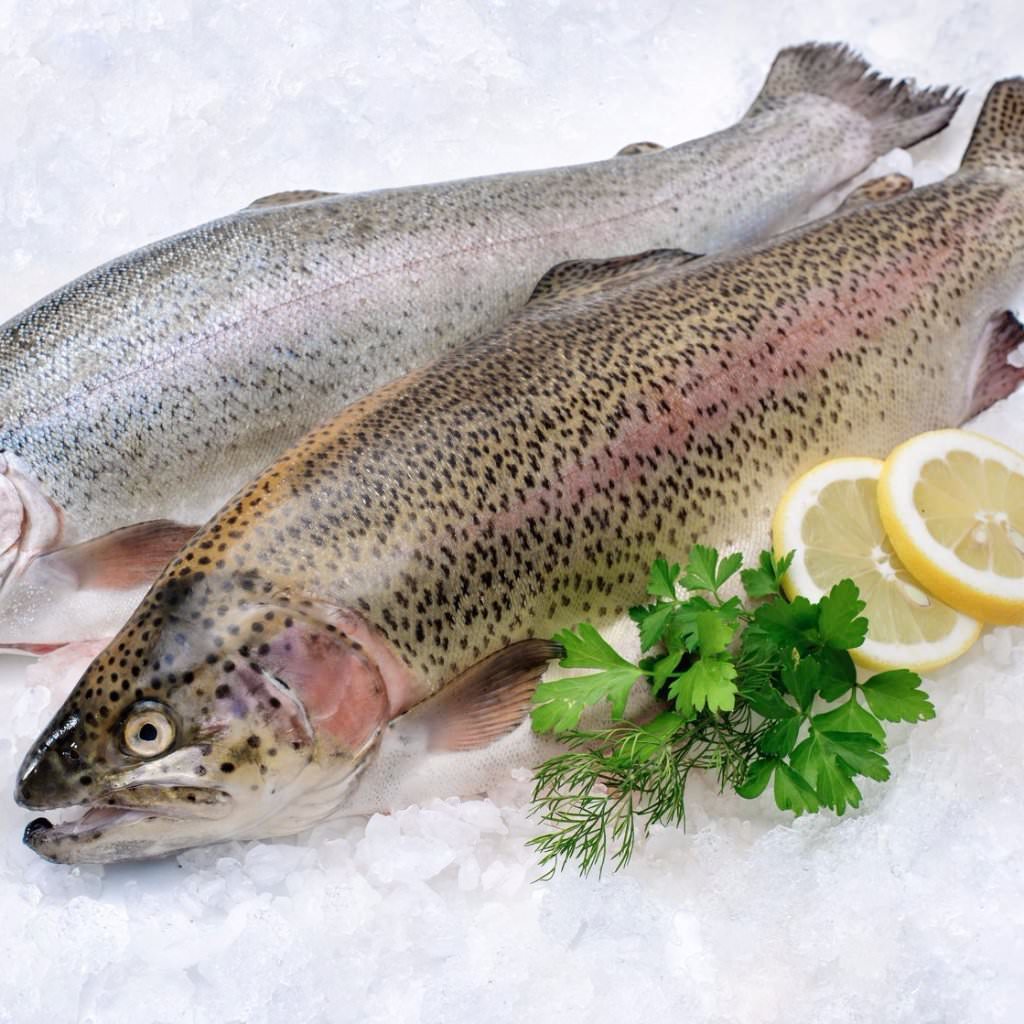Whole Rainbow Trout